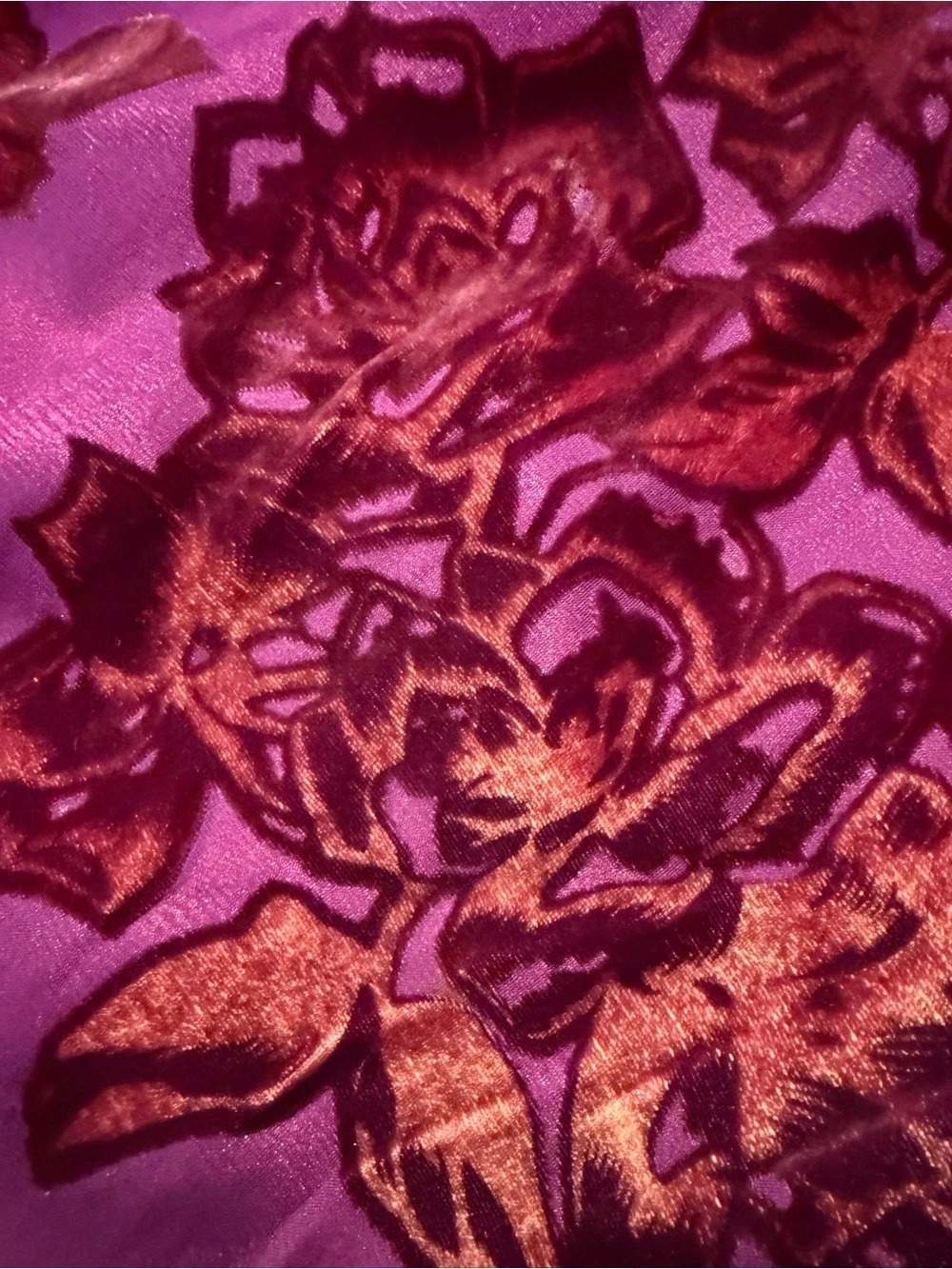 Velvet Rimini - Picture 5 of 6